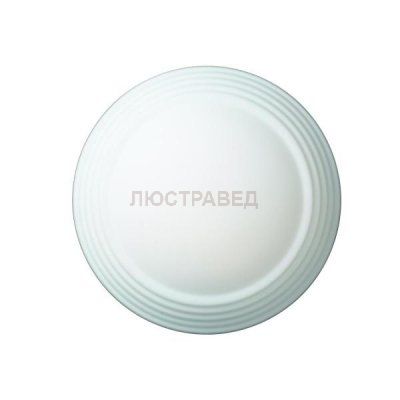 Светильник St luce SL506.502.02