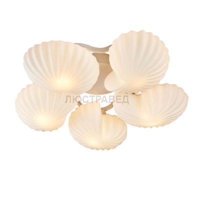 Люстра потолочная ракушка St luce SL534.502.05