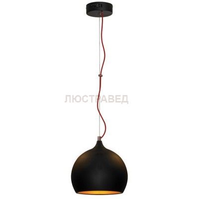 Светильник Lussole LSN-6116-01