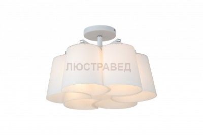 Светильник St luce SL543.502.06