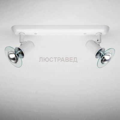Светильник поворотный спот Brilliant 36429P05 Puck