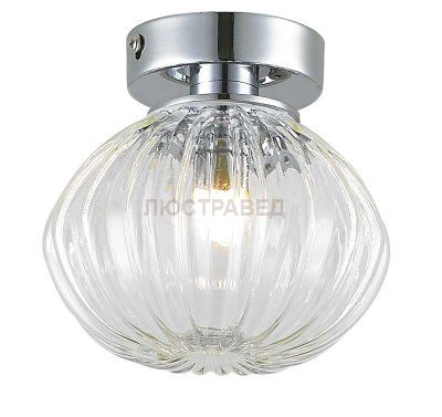 Потолочный светильник Donolux C110243/1clear