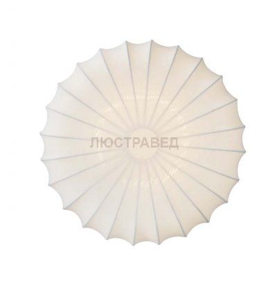 Потолочный светильник Donolux C111011/2R