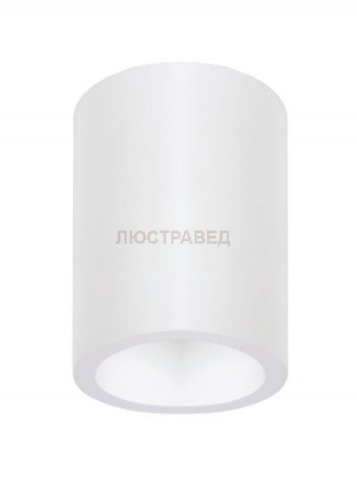 Накладной потолочный Donolux DL230G