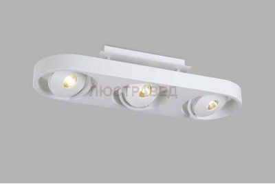 Светильник накладной Donolux DL18697/13WW-White 