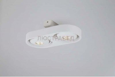 Светильник накладной Donolux DL18697/12WW-White 