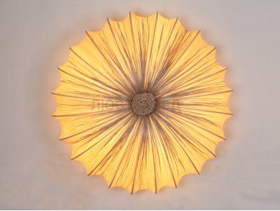 Светильник потолочный St luce SL351.072.05