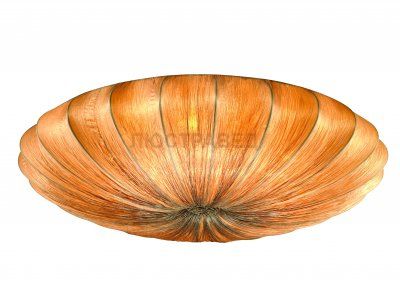 Светильник потолочный St luce SL351.172.08