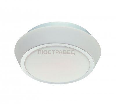 Светильник настенно-потолочный SL496.502.03 St luce BAGNO
