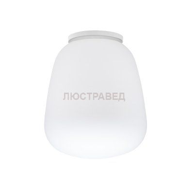 Настенно-потолочный светильник Fabbian F07 E07 01 Lumi