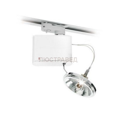 Светильник поворотный спот Fabbian D70J0101 Orbis