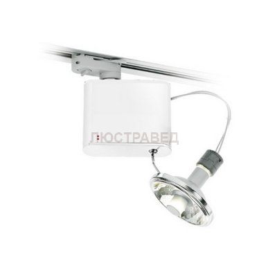 Светильник поворотный спот Fabbian D70J0901 Orbis