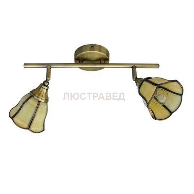 Светильник Favourite 5133-2C