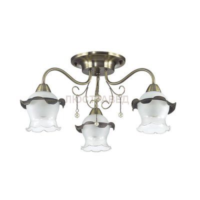 Люстра потолочная Lumion 3239/3C ZIDONI