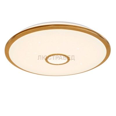 Светильник Citilux CL703102R Старлайт