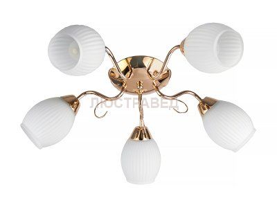 Люстра потолочная Toplight TL3520X-05FG Kristin