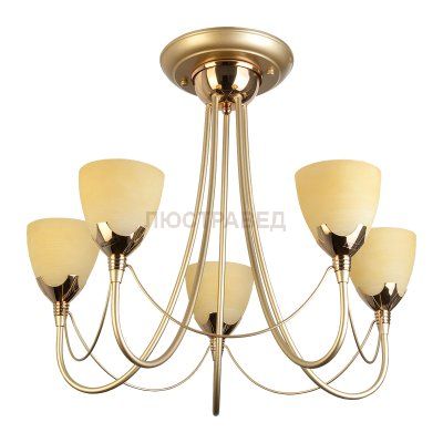 Люстра потолочная Toplight TL3630X-05MG Lucia