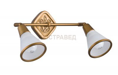 Светильник поворотный спот Maytoni ECO008-02-G Luther