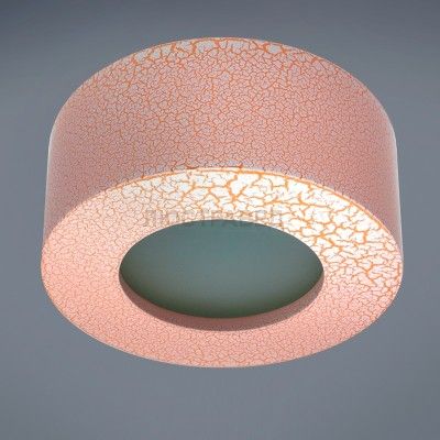 Светильник Donolux DL219G/1