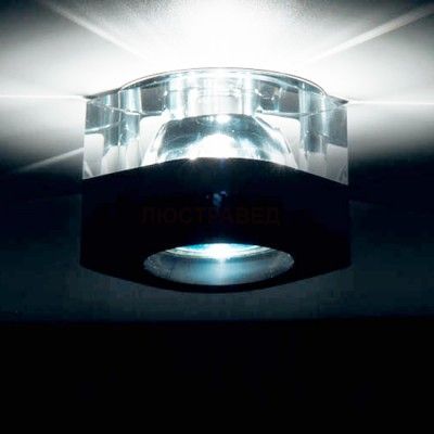 Светильник Donolux DL034C-Black