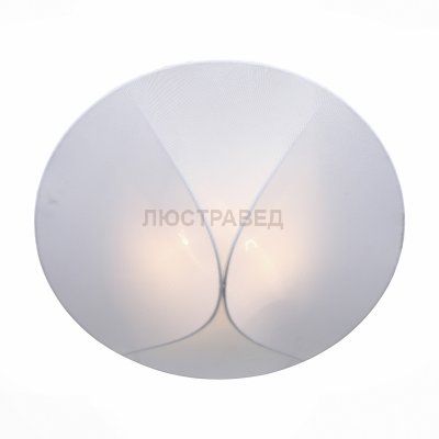 Светильник St Luce SL360.552.02