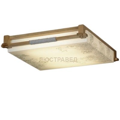 Светильник настенно-потолочный Lussole LSF-9102-02 ARCEVIA