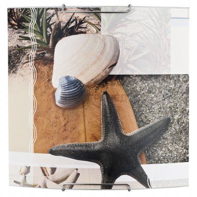 Alfa SHEEL 91387 потолочный светильник