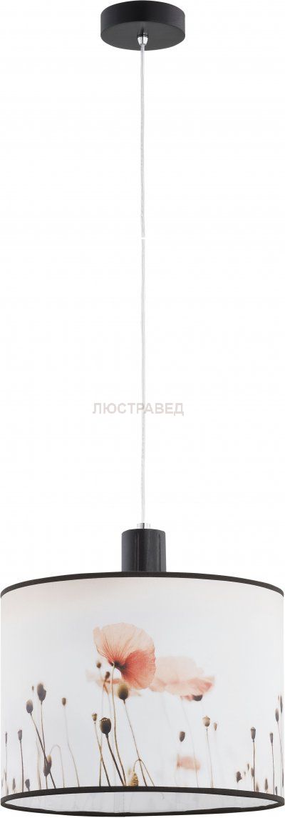 Alfa MACZEK 9610 потолочный светильник