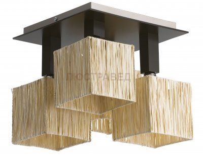 Alfa PETER 16625 потолочный светильник