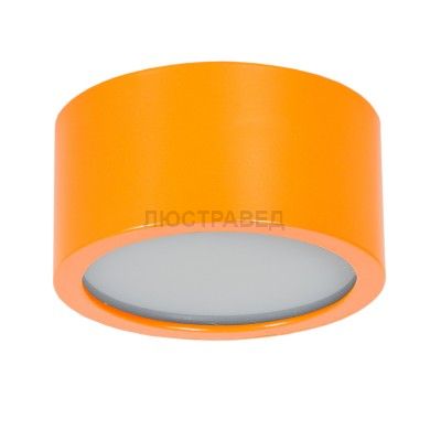 Артпром Tubo IP P1 17 Потолочный светильник 