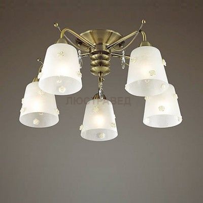 Светильник Lumion 3389/5C