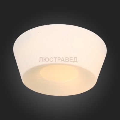 Светильник потолочный St luce SL296.502.02