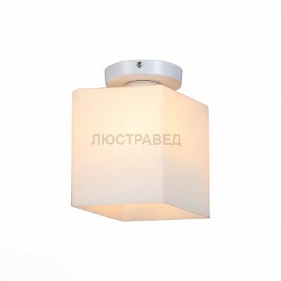 Светильник потолочный St luce SL548.501.01 Aspetto