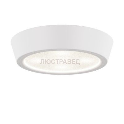 Светильник накладной светодиодный Lightstar 214904 Urbano