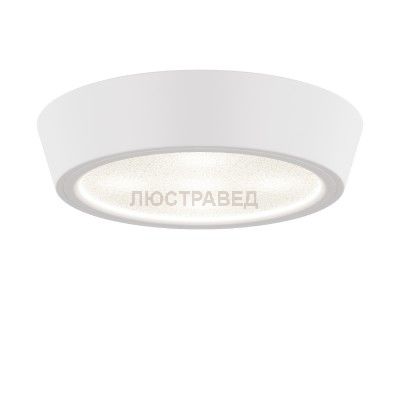 Светильник накладной светодиодный Lightstar 214704 Urbano mini