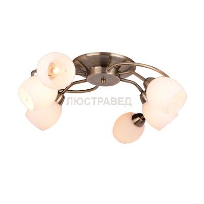 Светильник потолочный Arte lamp A4033PL-6AB Silvana
