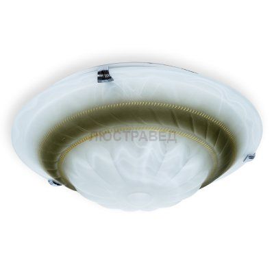 Настенно-потолочный светильник CLARE TL9101Y-02BR Toplight