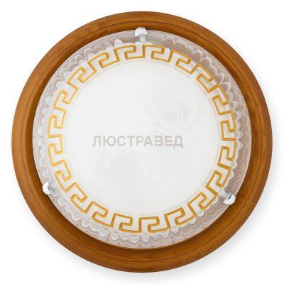 Настенно-потолочный светильник GIEN TL9173Y-02OA Toplight