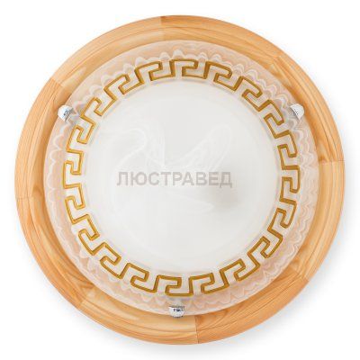 Настенно-потолочный светильник GIEN TL9173Y-02PN Toplight