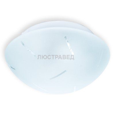 Настенно-потолочный светильник MAE TL9400Y-02WH Toplight