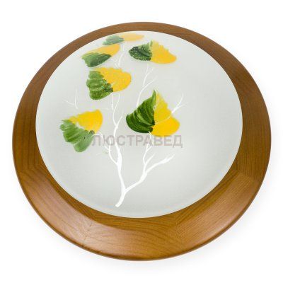 Настенно-потолочный светильник ENILU TL9461Y-01OA Toplight