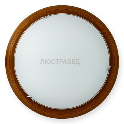 Настенно-потолочный светильник HILLARY TL9023Y-02OA Toplight