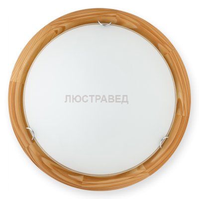 Настенно-потолочный светильник HILLARY TL9023Y-02PN Toplight
