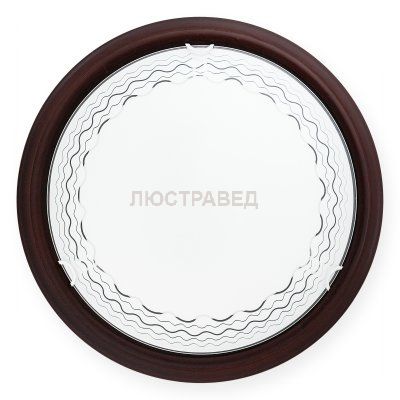 Настенно-потолочный светильник CITTE TL9134Y-02OA Toplight