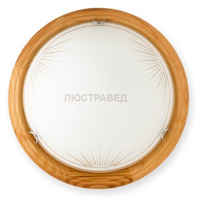Настенно-потолочный светильник WIFA TL9144Y-02PN Toplight