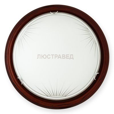 Настенно-потолочный светильник WIFA TL9144Y-02PO Toplight