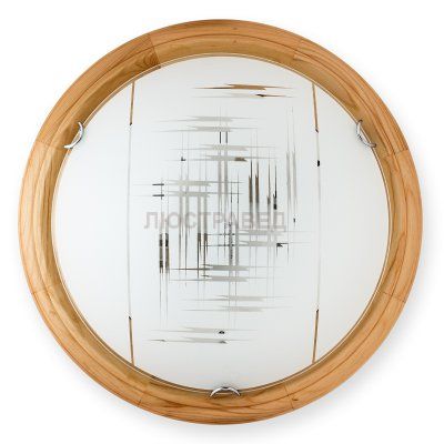 Настенно-потолочный светильник ZIER TL9153Y-02PN Toplight