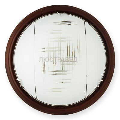 Настенно-потолочный светильник ZIER TL9153Y-02PO Toplight