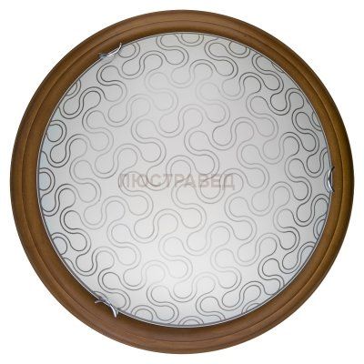 Настенно-потолочный светильник CHRISTINA TL9520Y-00OA Toplight