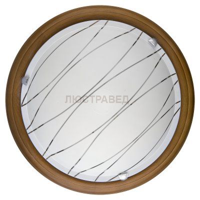 Настенно-потолочный светильник GABRIELLE TL9610Y-00OA Toplight